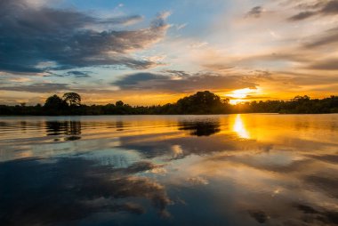 Nehre ve Amazon ormanına bakan güzel gün batımı manzarası. Manaus, Amazonas, Brezilya