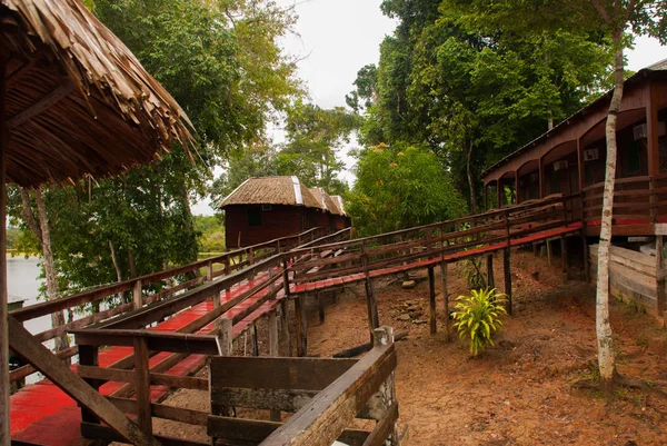 Holzhäuser auf einer Insel am Amazonas im Dschungel. Amazonas, Amazonas, Brasilien, Südamerika — Stockfoto