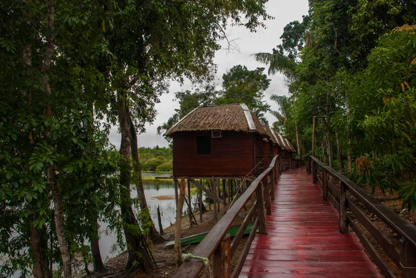 Amazonas, Manaus, Amazonas, Brasilien: Schöne Landschaft mit Blick auf den Amazonas mit Häusern. — Stockfoto