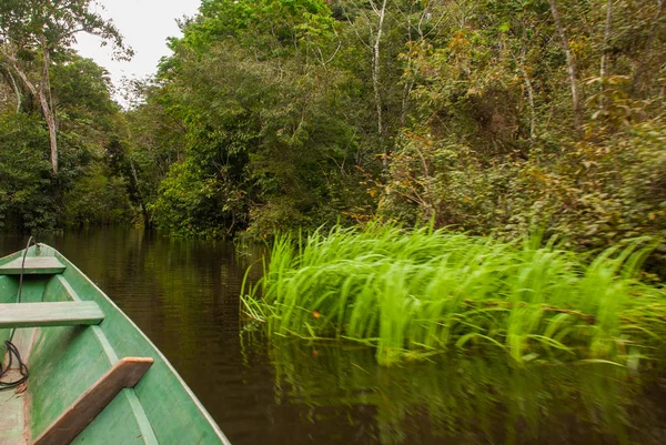 Vista desde el barco en el río Amazonas, con un denso bosque en la orilla y el cielo azul, Anazonas, Brasil — Foto de Stock