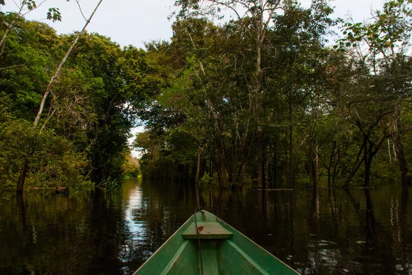 아마존 강, 마나우스, 아마존, 브라질: 아마존 정글의 백워터에 아마존 강에 떠있는 나무 보트. — 스톡 사진