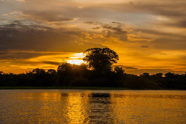 Amazon Nehri üzerinde güzel gün batımı. Manaus, Amazonas, Brezilya — Stok fotoğraf