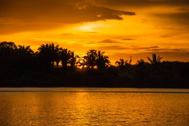 Nehre ve Amazon ormanına bakan güzel gün batımı manzarası. Manaus, Amazonas, Brezilya