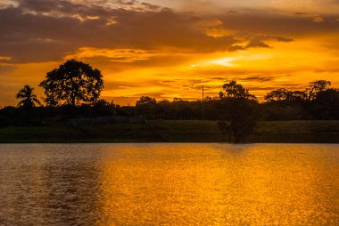 Gün batımında Amazon nehrine bakan olağanüstü güzel manzara. Amazon Nehri. Manaus, Amazonas, Brezilya