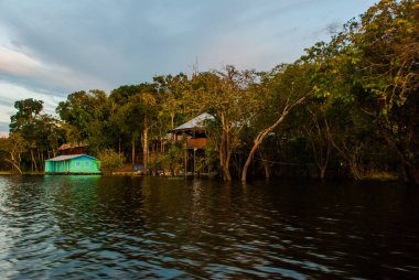 Amazon nehri, Manaus, Amazonas, Brezilya: Güzel manzaralı Amazon manzara. Ormanda Amazon nehri üzerinde bir adada Ahşap evler.