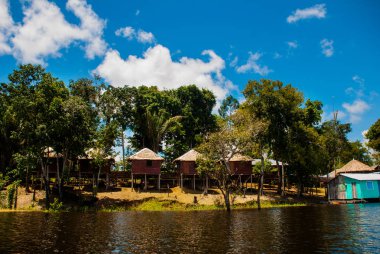 Amazon nehri, Manaus, Amazonas, Brezilya: Güzel manzaralı Amazon manzara. Ormanda Amazon nehri üzerinde bir adada Ahşap evler.