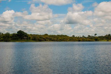 Amazon nehri, Manaus, Amazonas, Brezilya: Amazon nehri üzerinde Güneşli hava güzel manzara