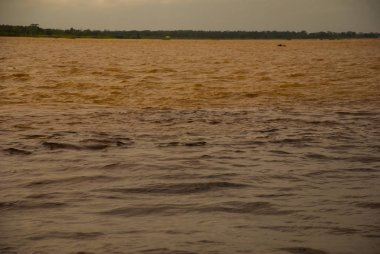 Manaus, Amazonas, Brezilya: Iki renkli nehir, Rio Negro, Solimoes birleşmesi. Toplantı, çok renkli sular karışmaz ve yan yana şekilde devam, böylece her nehir kendi co ile kalır