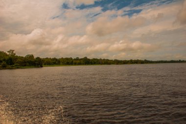 Amazon nehri, Amazonas, Brezilya: Nehir ve çalılar ve orman bakan güzel manzara.