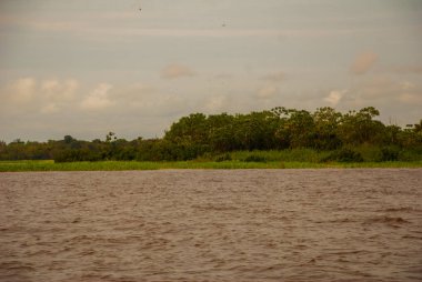 Amazon nehri, Amazonas, Brezilya: Nehir ve çalılar ve orman bakan güzel manzara.