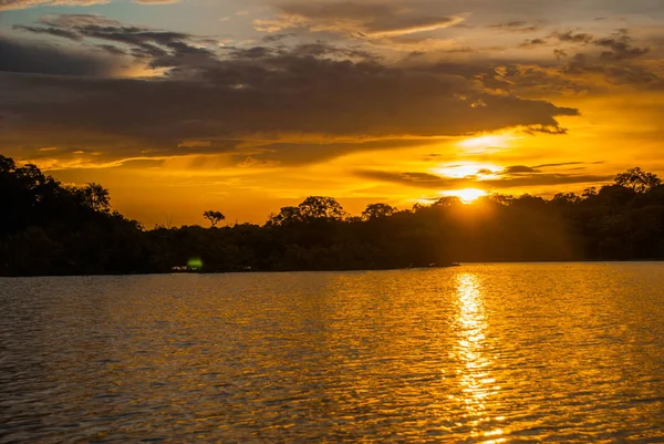 Nehre ve Amazon ormanına bakan güzel gün batımı manzarası. Manaus, Amazonas, Brezilya — Stok fotoğraf