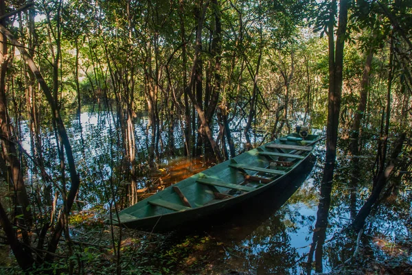 Houten boot in de beekjes van de Amazone jungle, nabij Manaus, Brazilië. — Stockfoto