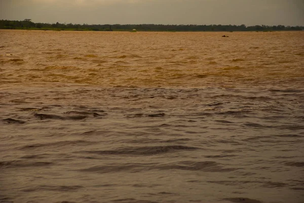 Manaus, Amazonas, Brezilya: Iki renkli nehir, Rio Negro, Solimoes birleşmesi. Toplantı, çok renkli sular karışmaz ve yan yana şekilde devam, böylece her nehir kendi co ile kalır