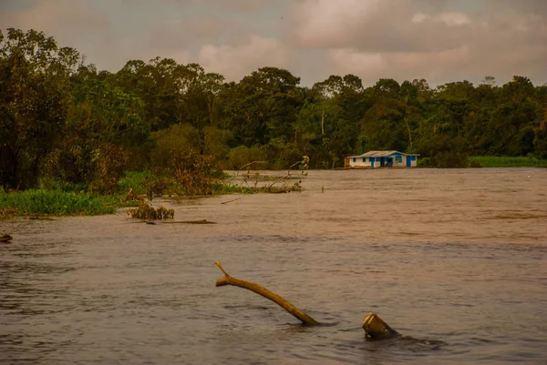 Manaus, Amazonas, Brasilien: sammanslagningen av de två färgade floden, Rio Negro, Solimoes. Möte, mång--färgade bevattnar blandar inte, och fortsätter långt sida vid sida, således återstår varje flod med den egna Co — Stockfoto