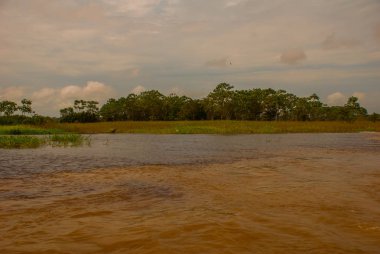 Manaus, Amazonas, Brezilya: Iki renkli nehir, Rio Negro, Solimoes birleşmesi. Toplantı, çok renkli sular karışmaz ve yan yana şekilde devam, böylece her nehir kendi co ile kalır