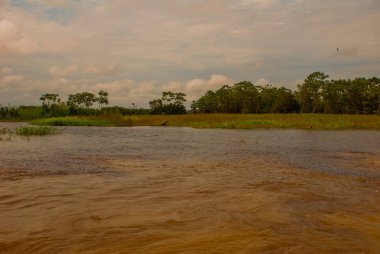Manaus, Amazonas, Brezilya: Iki renkli nehir, Rio Negro, Solimoes birleşmesi. Toplantı, çok renkli sular karışmaz ve yan yana şekilde devam, böylece her nehir kendi co ile kalır