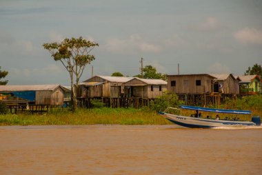 Amazon nehri, Amazonas, Brezilya: Ormanda geleneksel yerel binalar, nehir üzerinde küçük ahşap evler. Nehir Amazon manzaralı güzel manzara