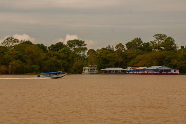 Amazon nehri, Amazonas, Brezilya: Ahşap yerel kulübeler, Brezilya'da Amazon nehri üzerinde evler.
