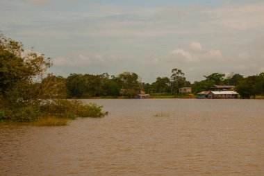 Amazon nehri, Amazonas, Brezilya: Ahşap yerel kulübeler, Brezilya'da Amazon nehri üzerinde evler.