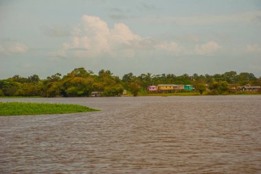 Amazon nehri, Amazonas, Brezilya: Ahşap yerel kulübeler, Brezilya'da Amazon nehri üzerinde evler.