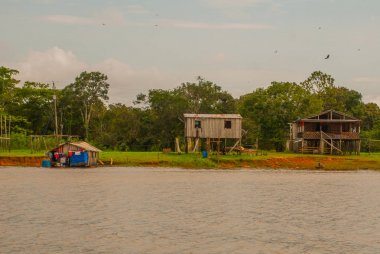 Amazon nehri, Amazonas, Brezilya: Ahşap yerel kulübeler, Brezilya'da Amazon nehri üzerinde evler.