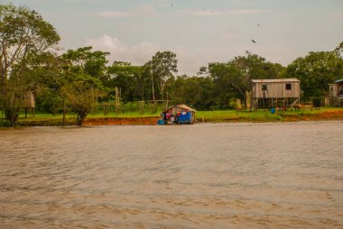 Amazon nehri, Amazonas, Brezilya: Ahşap yerel kulübeler, Brezilya'da Amazon nehri üzerinde evler.