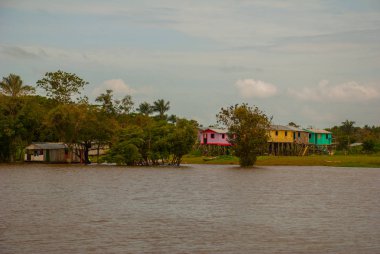 Amazon nehri, Amazonas, Brezilya: Ahşap yerel kulübeler, Brezilya'da Amazon nehri üzerinde evler.