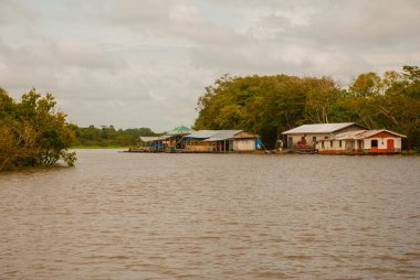 Amazon nehri, Amazonas, Brezilya: Ahşap yerel kulübeler, Brezilya'da Amazon nehri üzerinde evler.