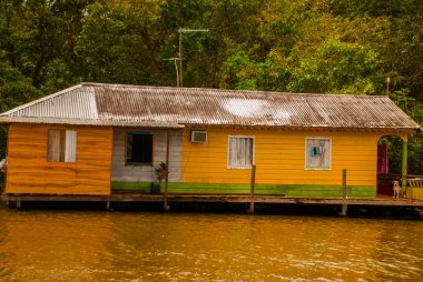 Amazon nehri, Amazonas, Brezilya: Ahşap yerel kulübeler, Brezilya'da Amazon nehri üzerinde evler.