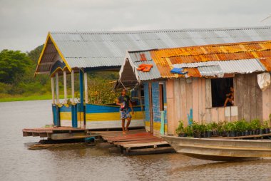 Amazon nehri, Amazonas, Brezilya: Ahşap yerel kulübeler, Brezilya'da Amazon nehri üzerinde evler.
