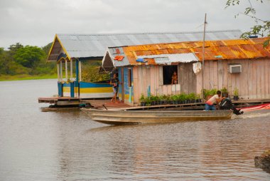 Amazon nehri, Amazonas, Brezilya: Ahşap yerel kulübeler, Brezilya'da Amazon nehri üzerinde evler.