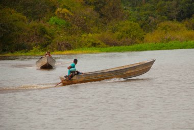 Amazon nehri, Amazonas, Brezilya: Ormanda geleneksel yerel binalar, nehir üzerinde küçük ahşap evler. Nehir Amazon manzaralı güzel manzara