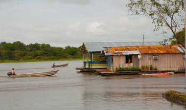 Amazon nehri, Amazonas, Brezilya: Ahşap yerel kulübeler, Brezilya'da Amazon nehri üzerinde evler.