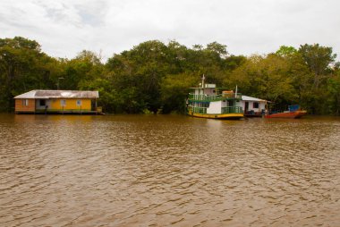 Amazon nehri, Amazonas, Brezilya: Ahşap yerel kulübeler, Brezilya'da Amazon nehri üzerinde evler.