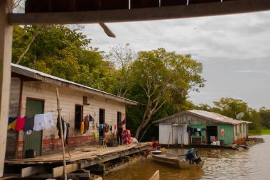 Amazon nehri, Amazonas, Brezilya: Ahşap yerel kulübeler, Brezilya'da Amazon nehri üzerinde evler.