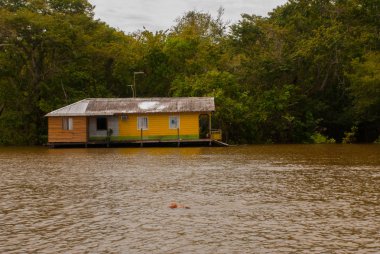 Amazon nehri, Amazonas, Brezilya: Ahşap yerel kulübeler, Brezilya'da Amazon nehri üzerinde evler.