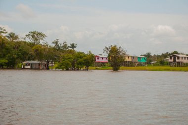 Amazon nehri, Amazonas, Brezilya: Ahşap yerel kulübeler, Brezilya'da Amazon nehri üzerinde evler.