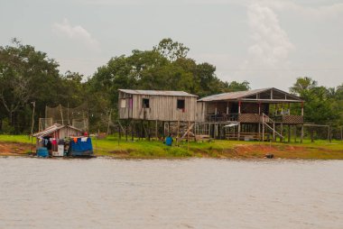 Amazon nehri, Amazonas, Brezilya: Ahşap yerel kulübeler, Brezilya'da Amazon nehri üzerinde evler.
