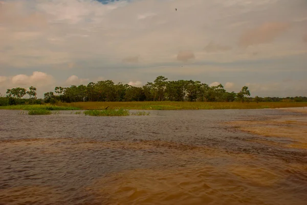 Manaus, Amazonas, Brasil: A fusão dos dois rios coloridos, Rio Negro, Solimoes. Reunião, as águas multi-coloridas não se misturam, e continuam o caminho lado a lado, assim cada rio permanece com o próprio co — Fotografia de Stock