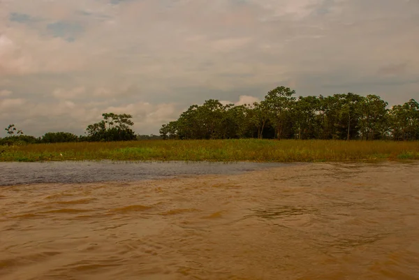 Manaus, Amazonas, Brezilya: Iki renkli nehir, Rio Negro, Solimoes birleşmesi. Toplantı, çok renkli sular karışmaz ve yan yana şekilde devam, böylece her nehir kendi co ile kalır