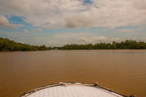 亚马逊河，亚马逊，巴西：俯瞰河流、灌木丛和丛林的美丽景观. — 图库照片