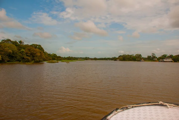 Rio Amazonas, Amazonas, Brasil: Bela paisagem com vista para o rio e arbustos e selva . — Fotografia de Stock