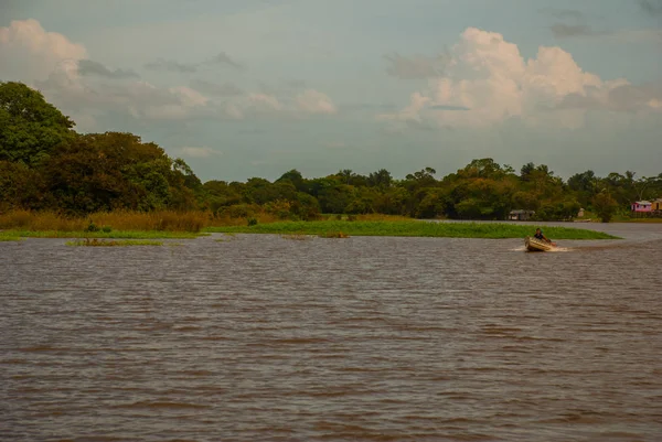 Rio Amazonas, Amazonas, Brasil: Bela paisagem com vista para o rio e arbustos e selva . — Fotografia de Stock