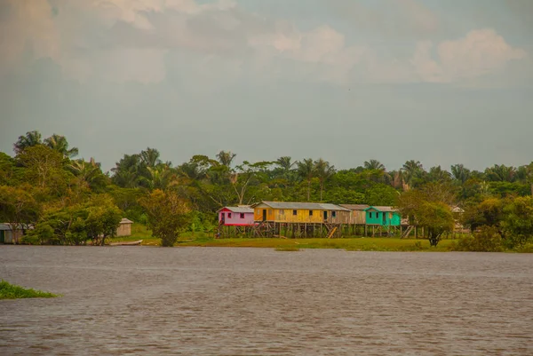 아마존 강, 아마존, 브라질: 목조 현지 오두막, 브라질 아마존 강에 주택. — 스톡 사진