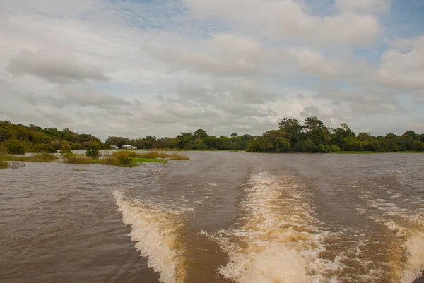 亚马逊河，亚马逊，巴西：俯瞰河流、灌木丛和丛林的美丽景观. — 图库照片