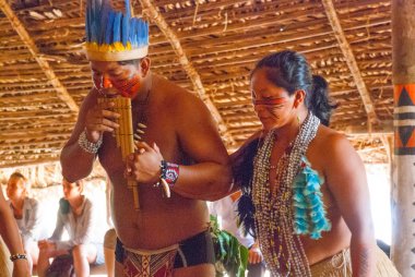 Brezilya'da Amazon nehri üzerinde kabileler turistler için dans. Amazon nehri, Amazonas, Brezilya