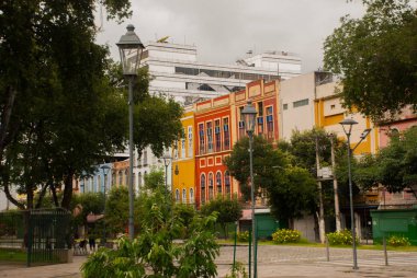 Manaus, Amazonas, Brezilya: Manaus liman kenti sokak ve evler