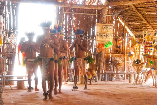 Törzsek az Amazonas folyón Brazíliában táncoló turisták számára. Amazon River, Amazonas, Brazília — Stock Fotó