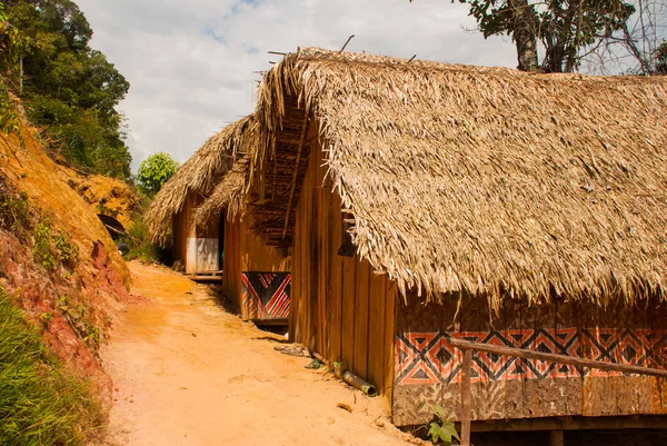 Großes Haus mit saftem Gras bedeckt, indigenes Stammesdorf in der Nähe von Manaus, Amazonas-Staat, Brasilien — Stockfoto