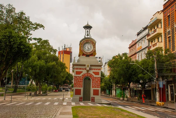 Manaus, Amazonas, Brasil: A Prefeitura Municipal de Manaus foi importada da Suíça e concluída em 1927 — Fotografia de Stock